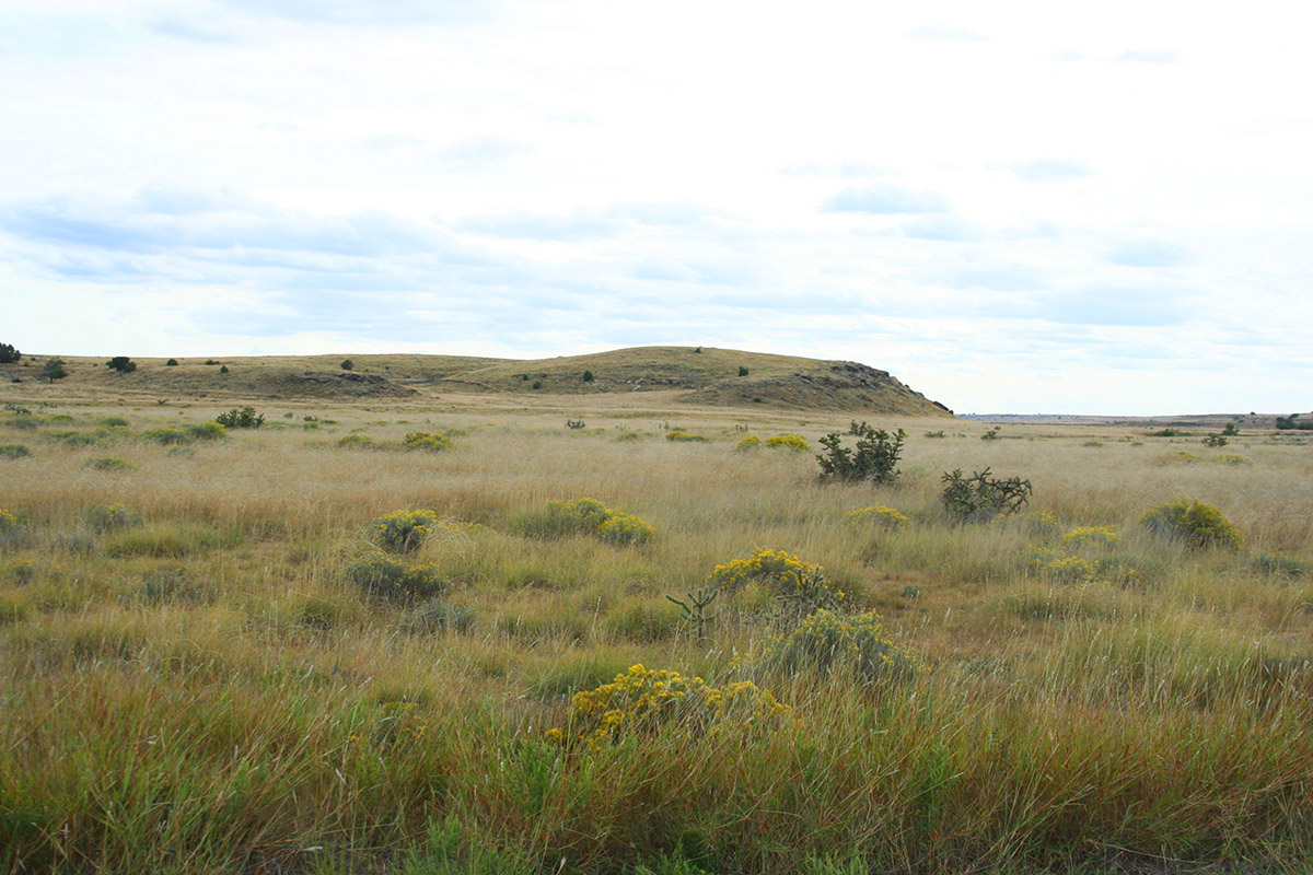 RNNP Autumn Landscape